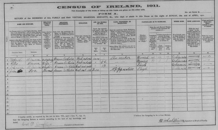 Sample census return, 1911, Michael Dineen, Coolruss, Ballingarry Parish