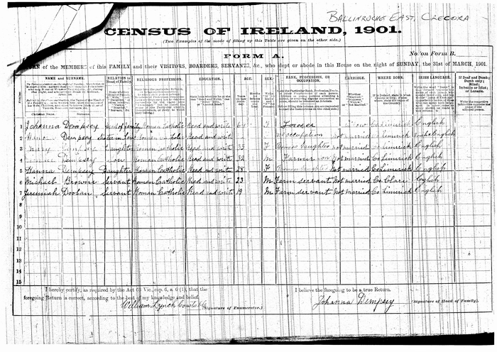 Sample census return, 1901, Johanna Dempsey, Ballinroche East, Crecora Parish
